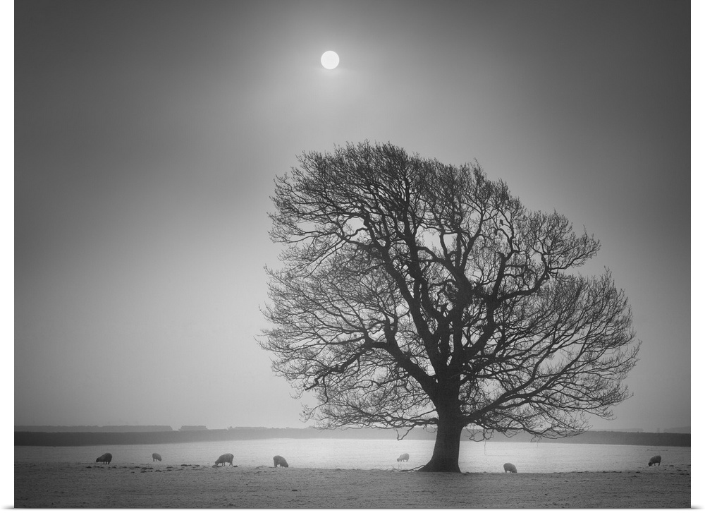 A black and white photograph of a lone tree standing in a field with the moon hanging in a foggy sky.