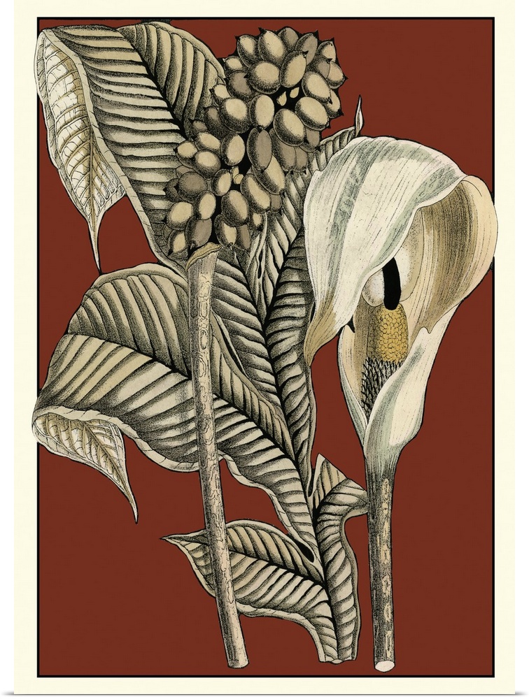 Vintage stylized botanical illustration.