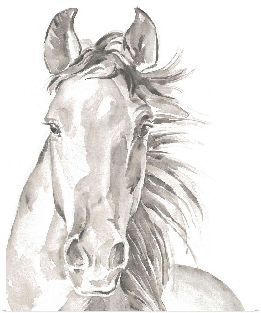 Watercolor portrait of a horse in gray.
