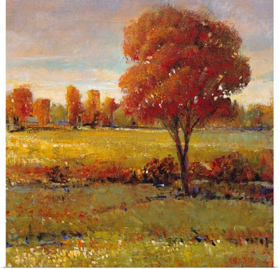 Field in Fall