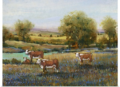 Field of Cattle II