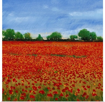 Field of Poppies I