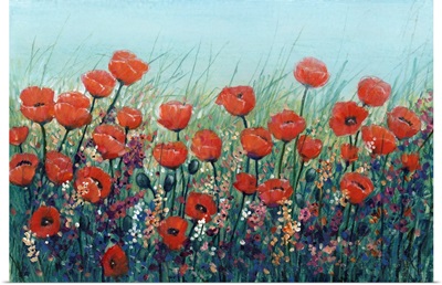 Field Of Red Poppies II
