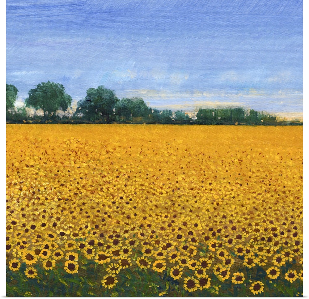 Contemporary painting of a field of yellow sunflowers under a blue sky.