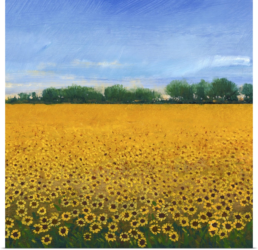 Contemporary painting of a field of yellow sunflowers under a blue sky.