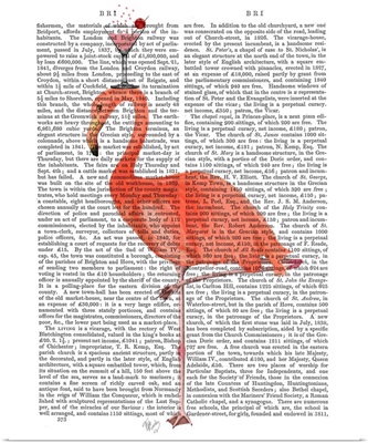 Flamingo and Cocktail 3