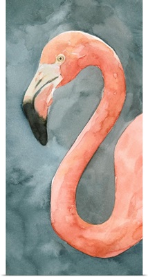 Flamingo Study II