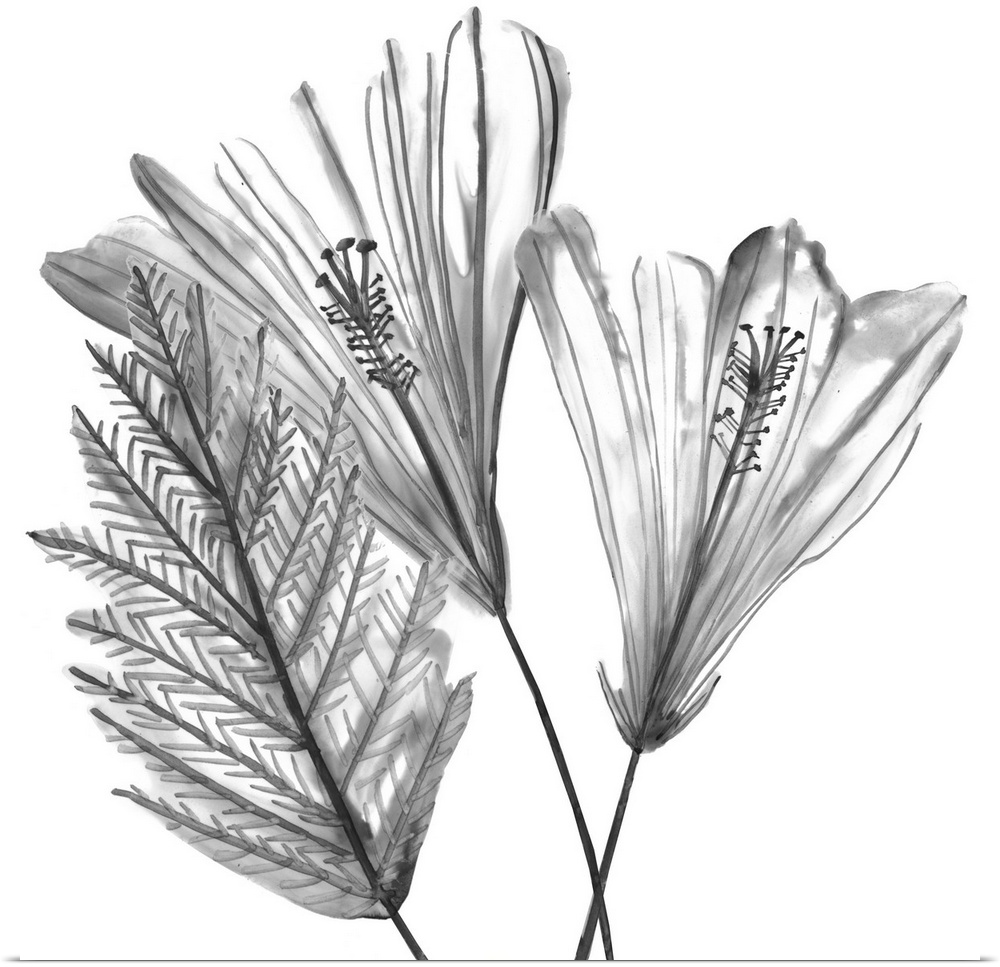 Contemporary line art of flowers and foliage in shades of gray and black.
