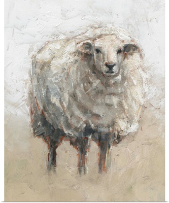 Fluffy Sheep II