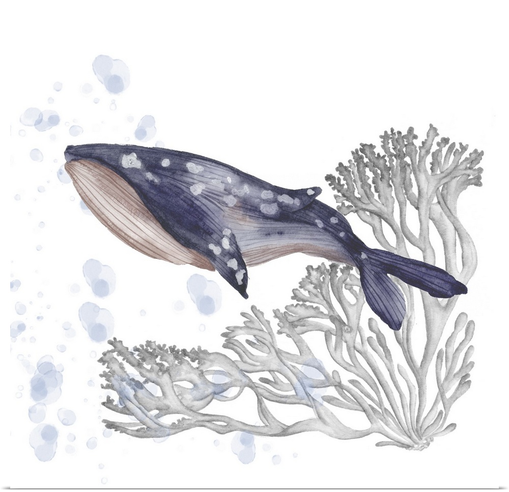 A watercolor painting that features a serene whale swimming with flowing coral behind and soothing bubbles.