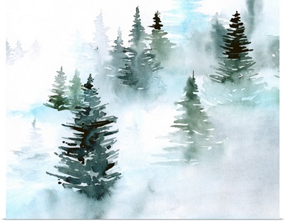 Foggy Evergreens I