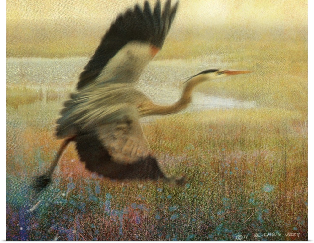 A painting of a heron taking off into the air from a tall grass marshland.