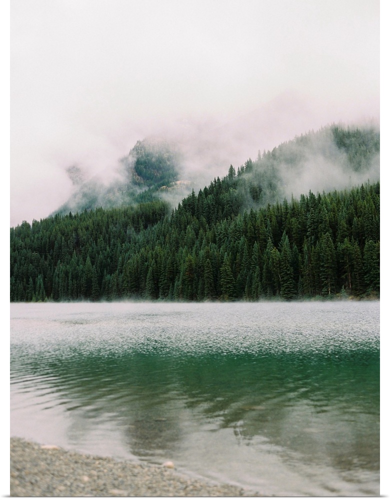 A photograph of dense evergreen trees by the side of a clear lake interspersed with low clouds and mist.