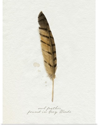 Found Feather III
