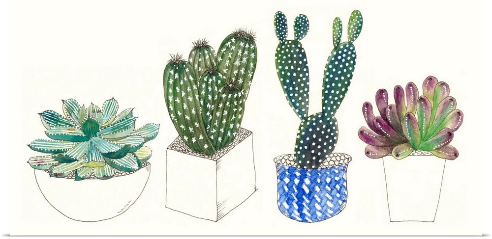 Cute illustrations of four potted succulents of varying sizes and shapes.