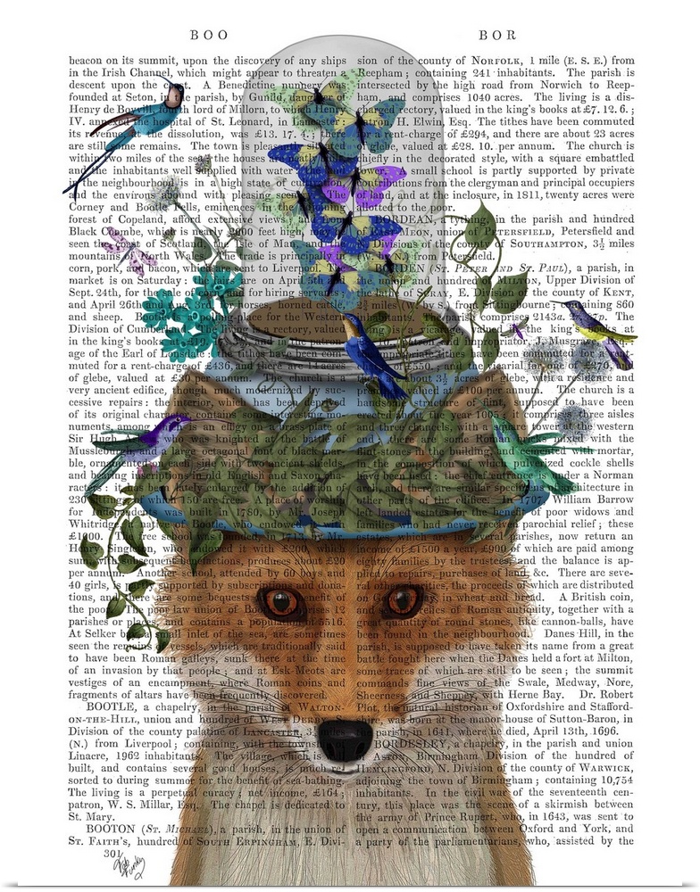 Decorative artwork with a fox balancing a bell jar with butterflies flying inside on top of its head, painted on the page ...