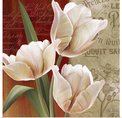 French Tulip Collage II