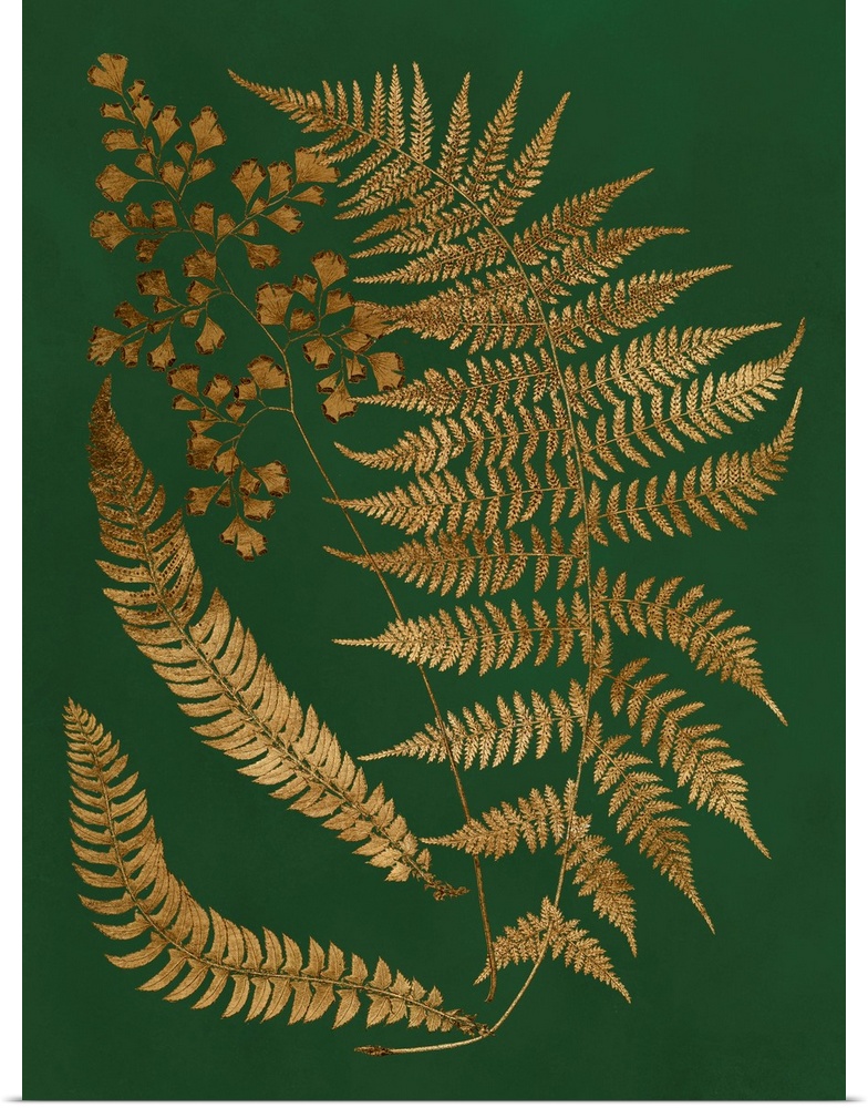 Gilded Ferns I