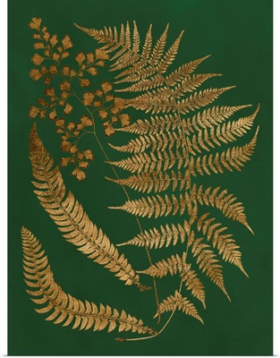 Gilded Ferns I