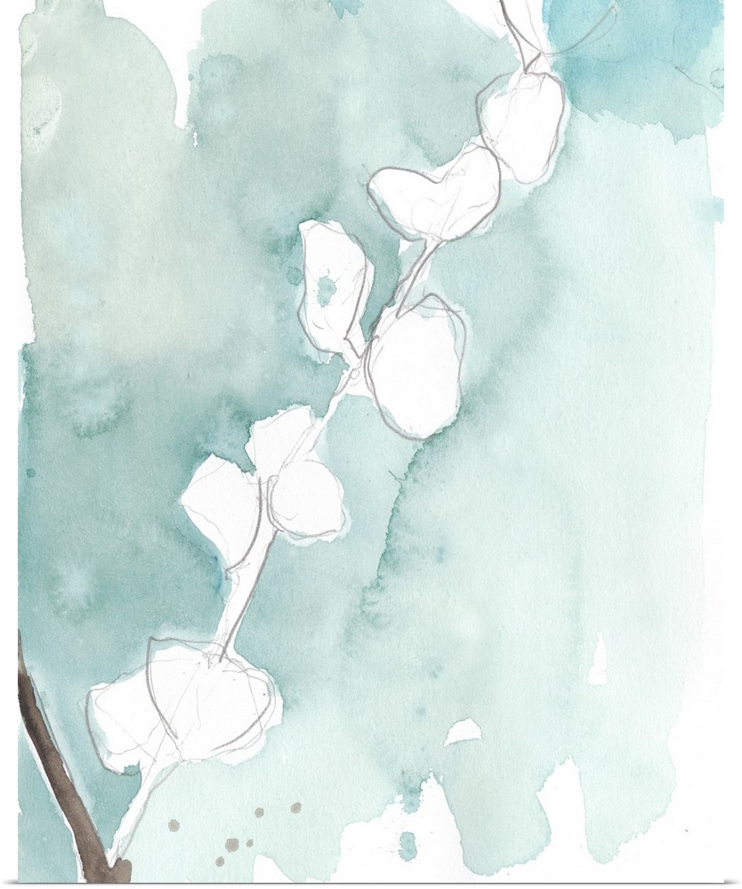 Pencil sketch of Ginkgo leaves with a light blue watercolored background.