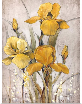 Golden Irises II