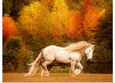 Golden Lit Horse VI