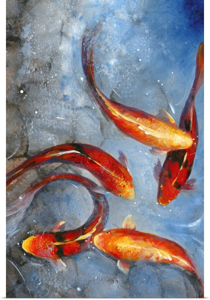 Bright red and orange koi fish swimming in a pond, seen from above.