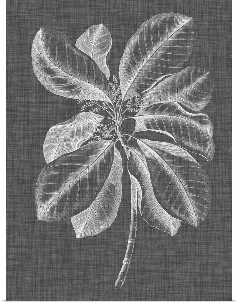 Black, white, and gray illustrated foliage on a vertical background.
