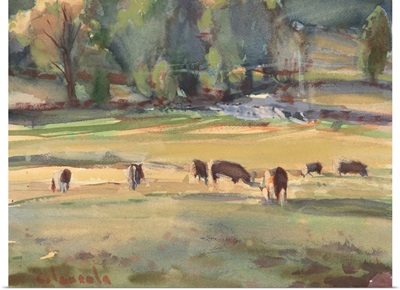 Grazing Cows Watercolor