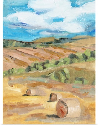 Hay Bales II