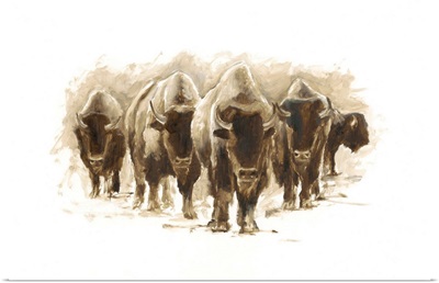 Herd of Bison I