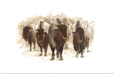 Herd of Bison II