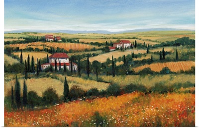 Hills Of Tuscany II