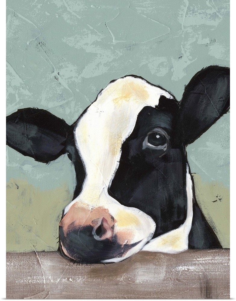 Contemporary portrait of a black and white dairy cow with a sweet expression.