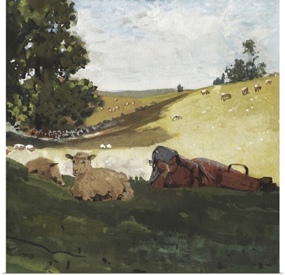 Homer's Sheep Countryside III