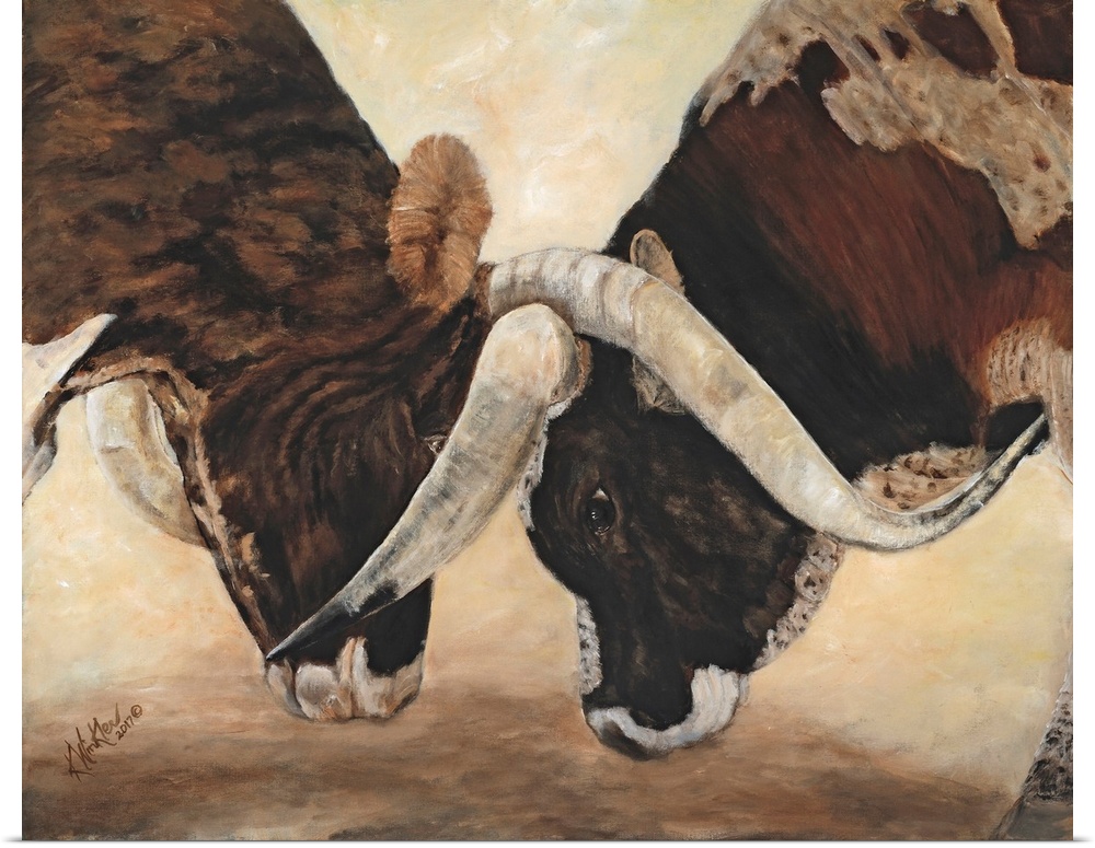 Horizontal contemporary artwork of two bulls going head to head with locked horns.