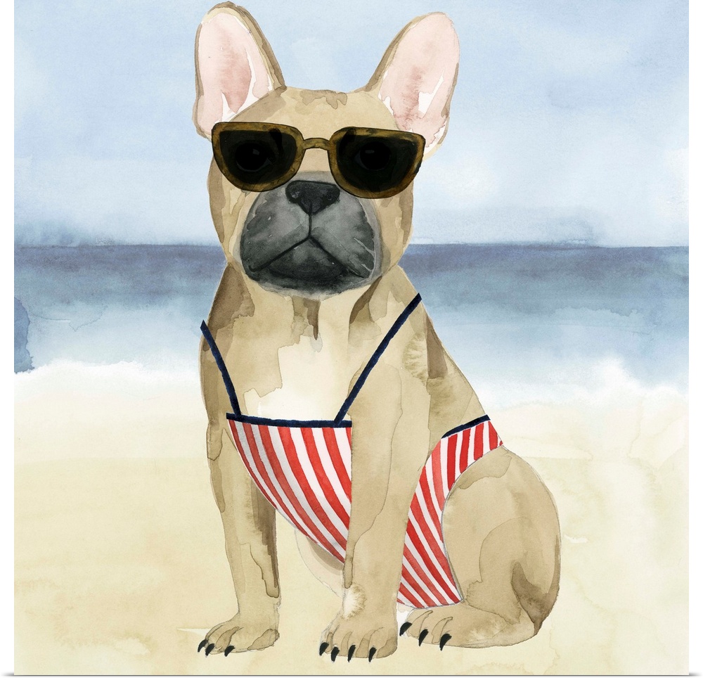 Square watercolor painting of a boxer wearing a bathing suit and sunglasses on a beach.