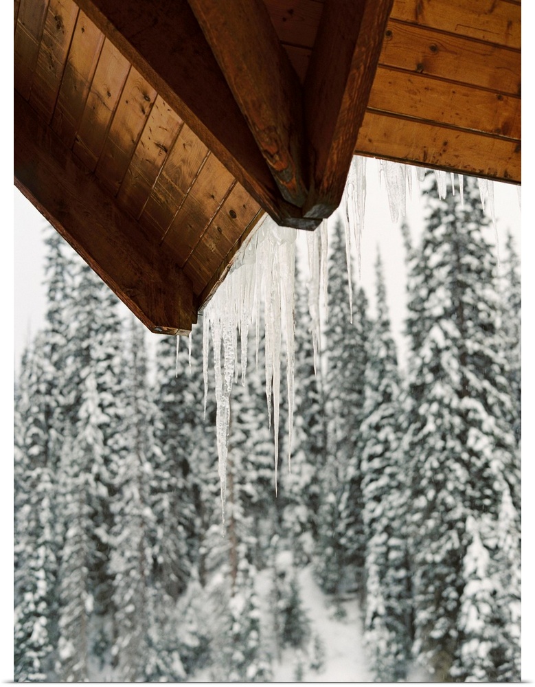 Photograph of icicles hanging from the eaves of a cabin, Emerald Lake Lodge, Banff, Canada