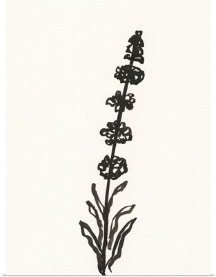 Ink Botanical Sketch VII