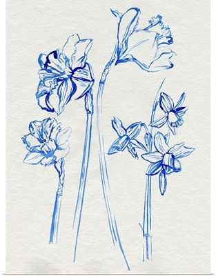 Inky Daffodils I