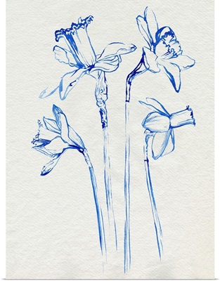 Inky Daffodils II