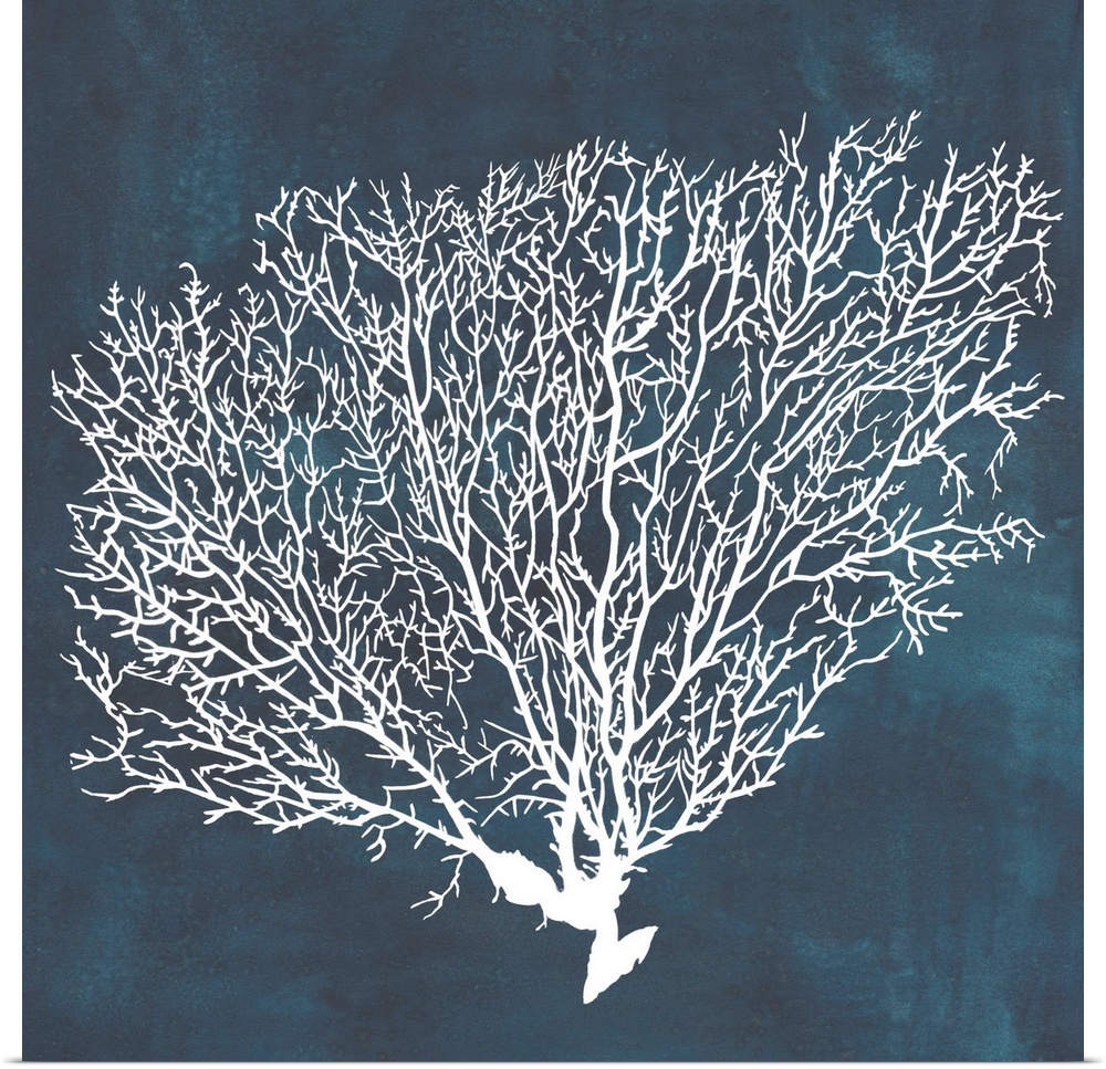 Contemporary nautical themed artwork of a sea fan in white against a dark navy blue background.
