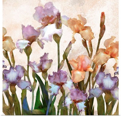 Irises Panel II