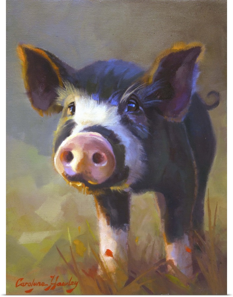 Contemporary artwork of a cute black and white pig with a big pink nose.