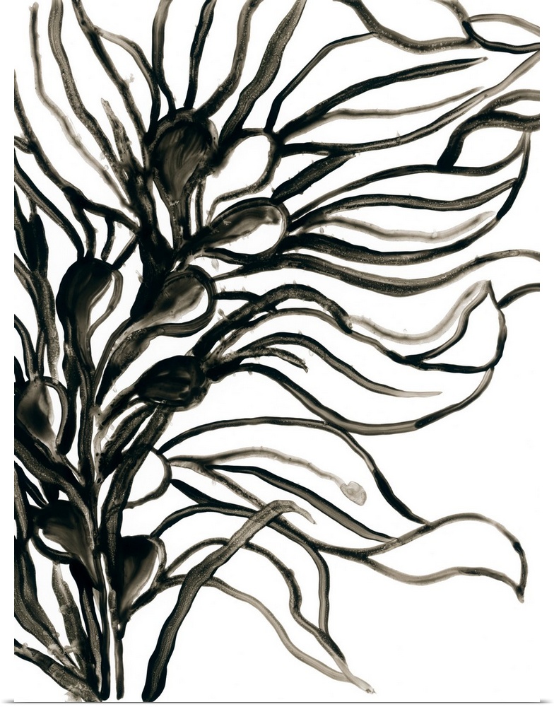 A simple, minimalist black and white painting of wavy leaves on a stalk