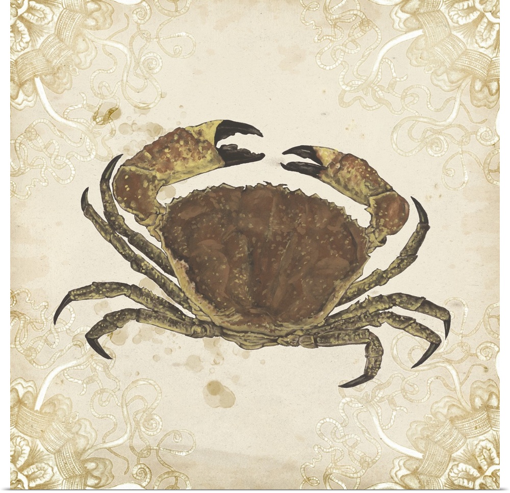 Picture of a shellfish on a beige backdrop with a curved shape design in each corner.