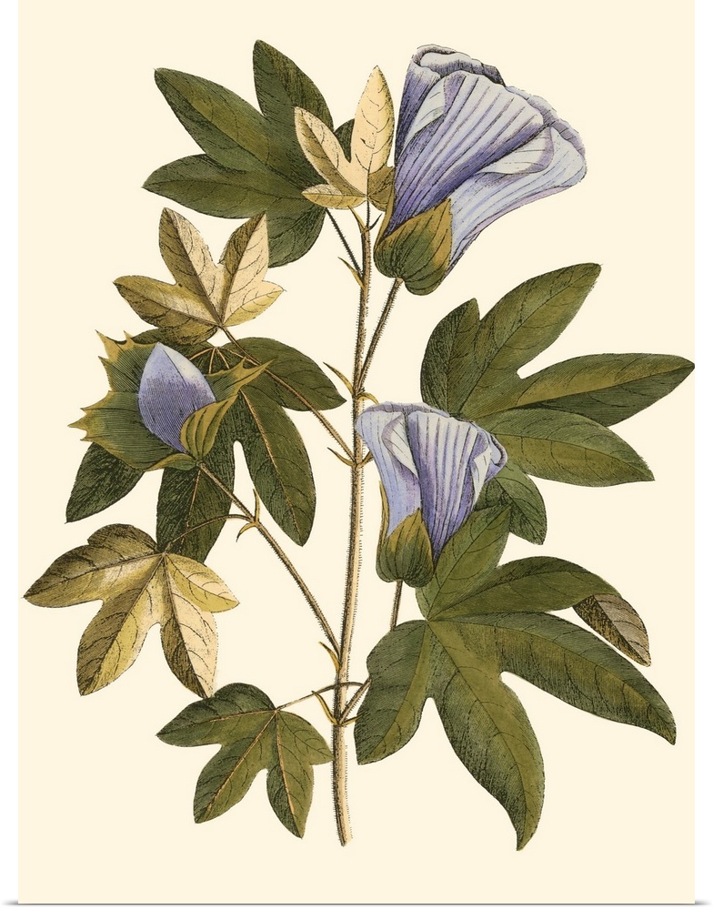 Lavender Floral II