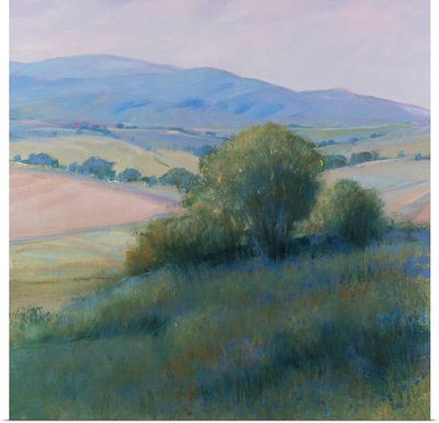 Lavender Hillside II