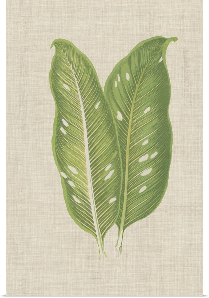 This decorative artwork features an illustrated front and back view of a leaf with light green veins over a neutral linen ...