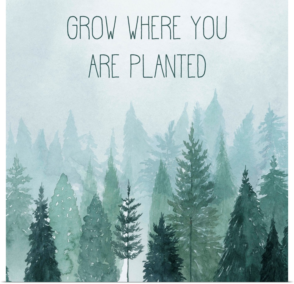 Decorative artwork of watercolor trees on a foggy day with the words: Grow where you are planted.